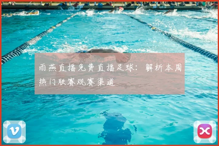 雨燕直播免费直播足球：解析本周热门联赛观赛渠道