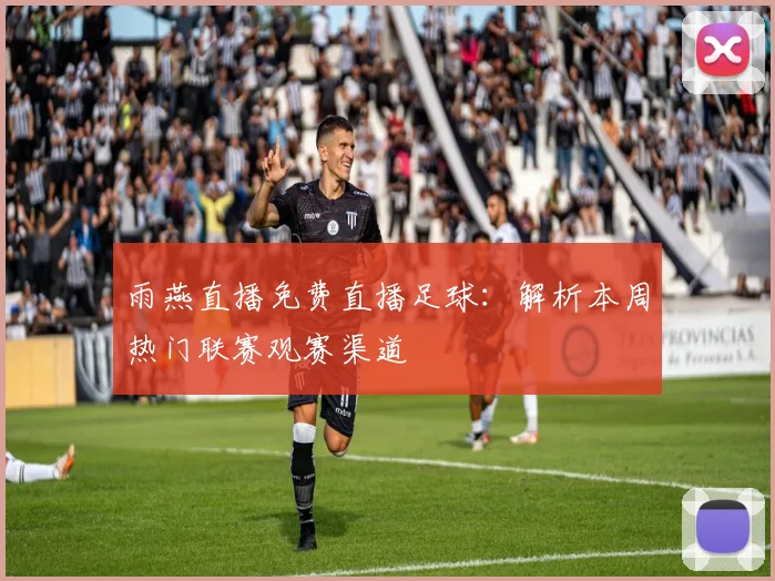 雨燕直播免费直播足球：解析本周热门联赛观赛渠道