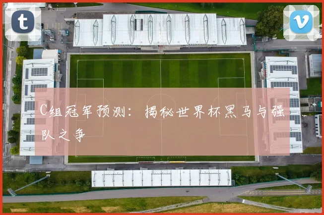C组冠军预测:揭秘世界杯黑马与强队之争
