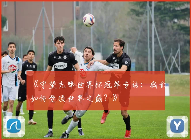 《守望先锋世界杯冠军专访：我们如何登顶世界之巅？》