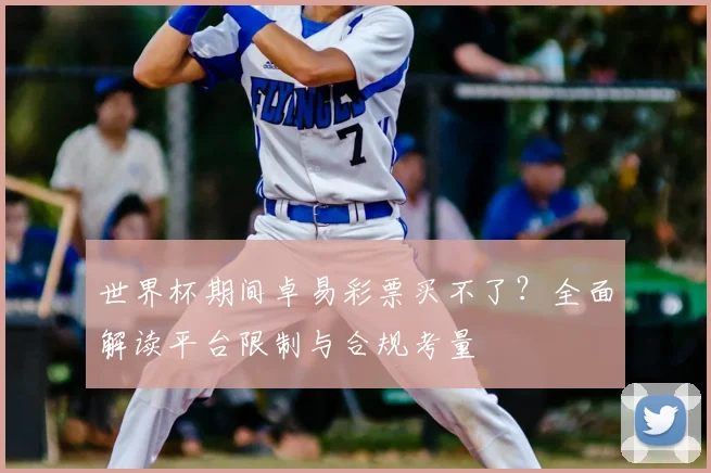 世界杯期间卓易彩票买不了?全面解读平台限制与合规考量