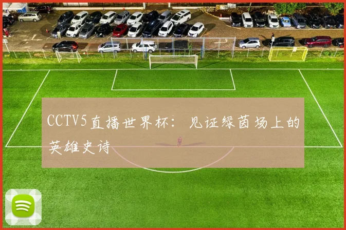 CCTV5直播世界杯：见证绿茵场上的英雄史诗