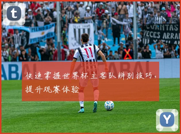 快速掌握世界杯主客队辨别技巧，提升观赛体验