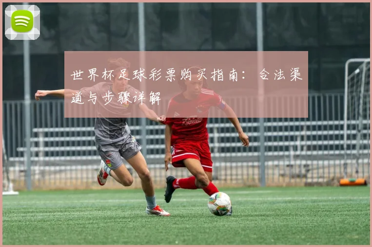 世界杯足球彩票购买指南：合法渠道与步骤详解