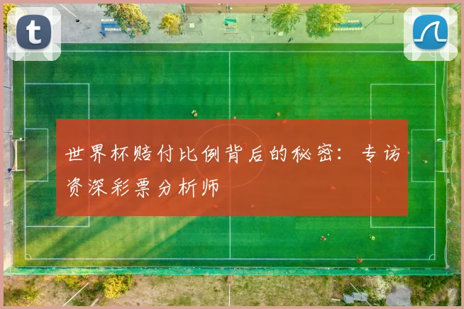 世界杯赔付比例背后的秘密：专访资深彩票分析师